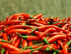 Chilli